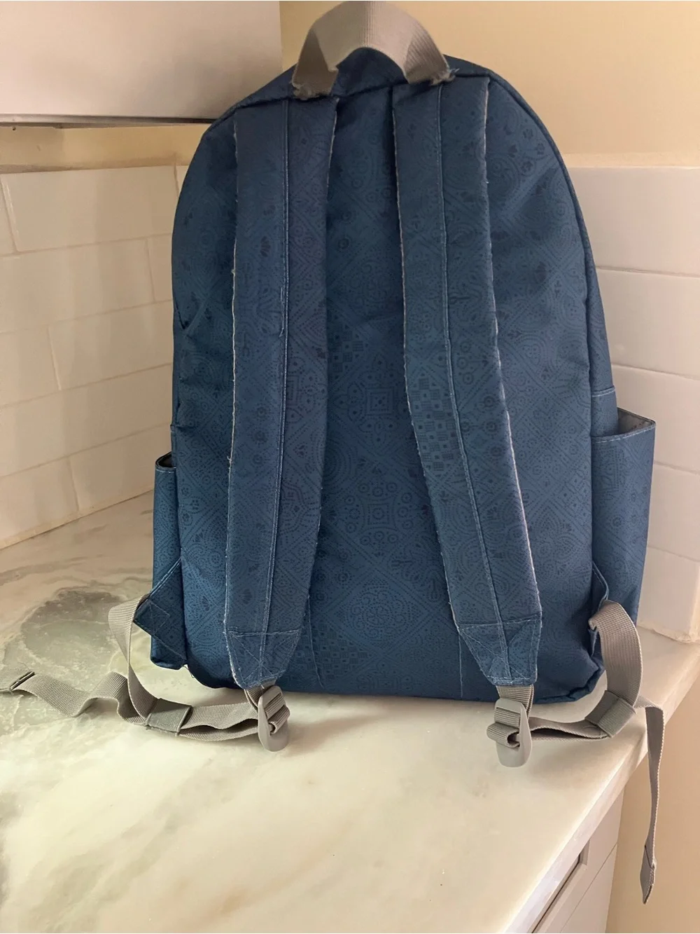 Lucky Brand Navy Blue Backpack with Clover Patch